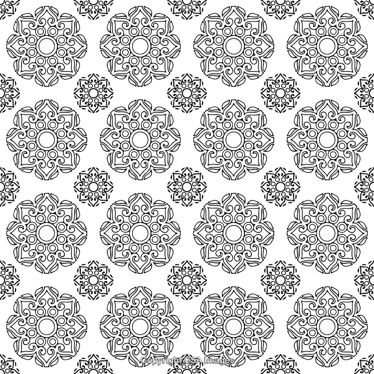 Black and White Ornamental Pattern with Intricate Geometric Designs