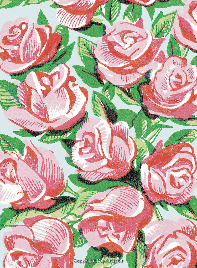 Pink Roses