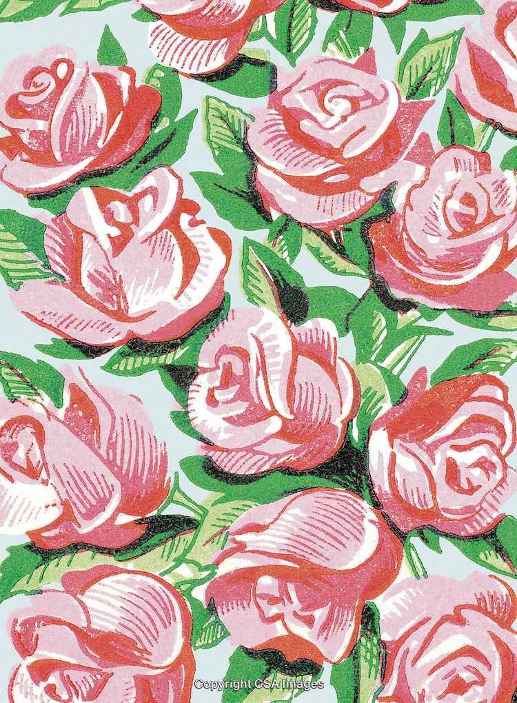 Pink Roses