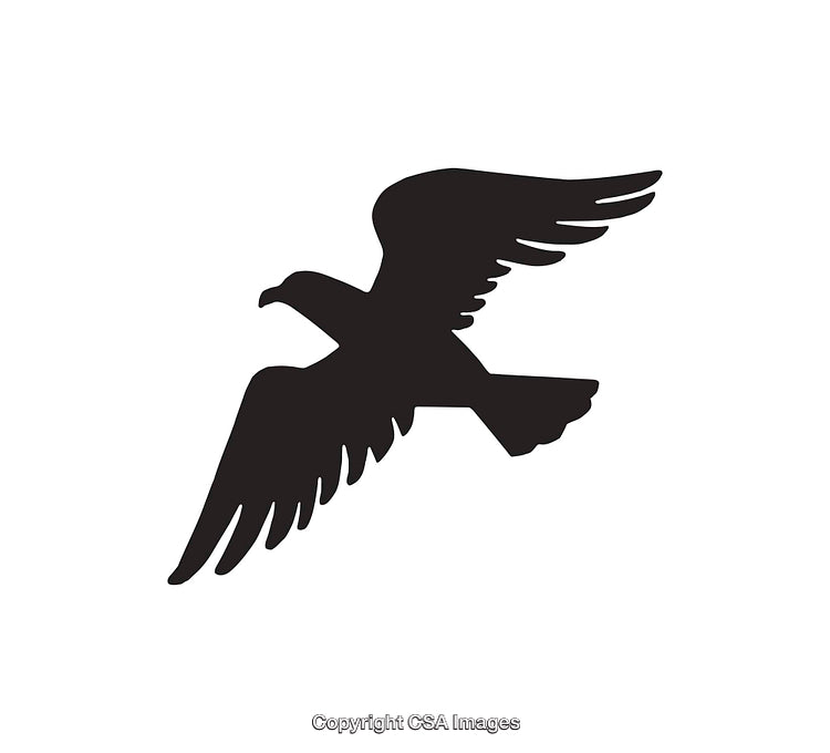 Silhouette of a Flying Bird with Extended Wings in Black and White