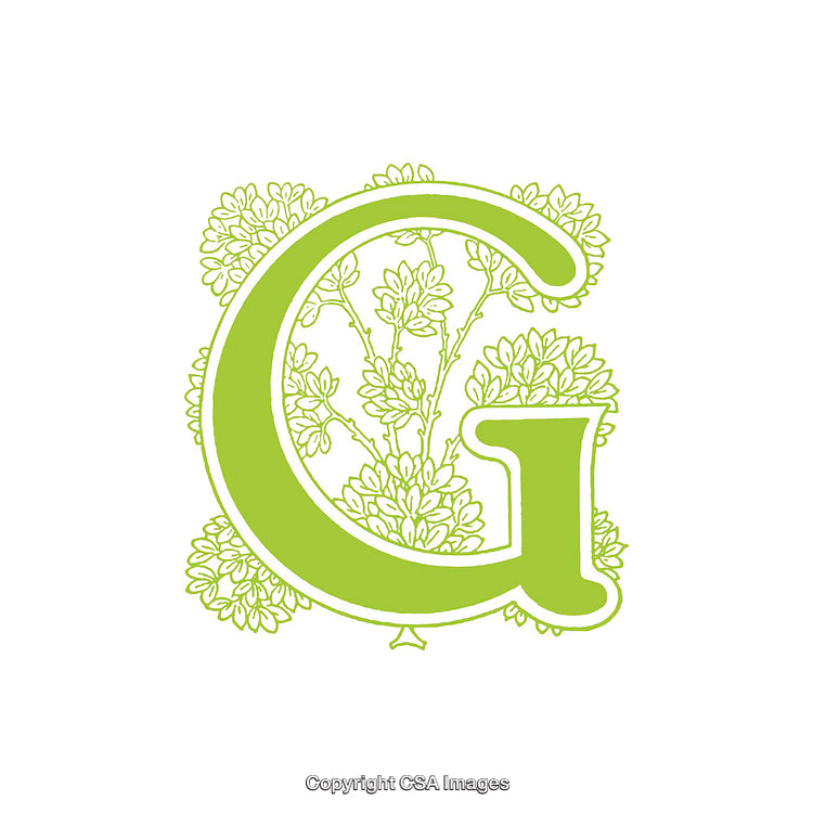 Elegant Green Letter G Design with Intricate Floral Patterns