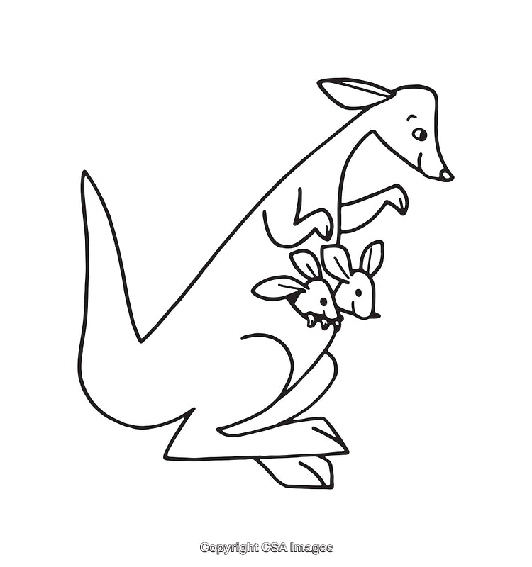 Black and White Kangaroo Line Art Illustration with Joeys in Pouch