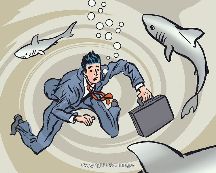 Swimming with the Sharks