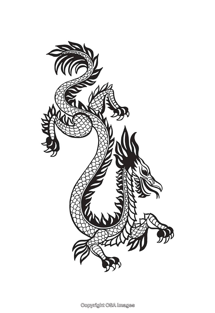 Simplified Black and White Dragon Line Art Illustration on White Background
