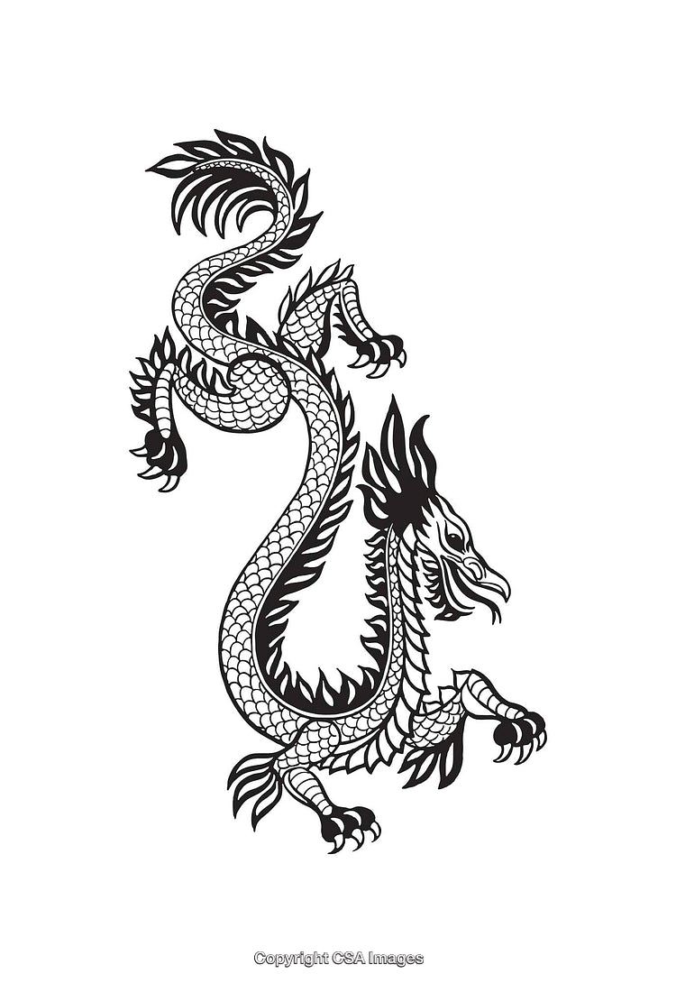 Simplified Black and White Dragon Line Art Illustration on White Background