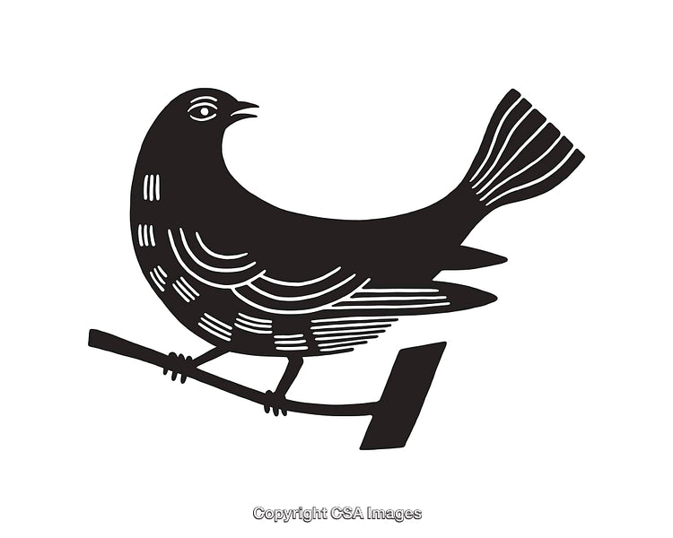 Black and White Line Art Illustration of a Bird on a Branch
