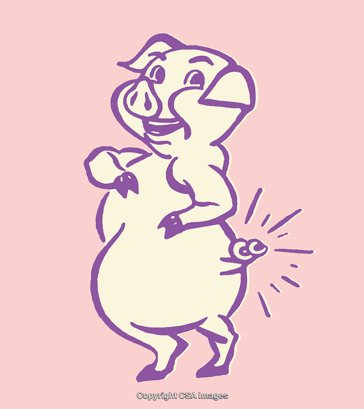 Colorful Line Art of a Happy Pig in a Playful Pose