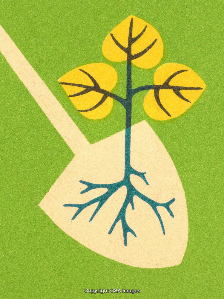 Illustration of Tree Growing With Roots on Green Background