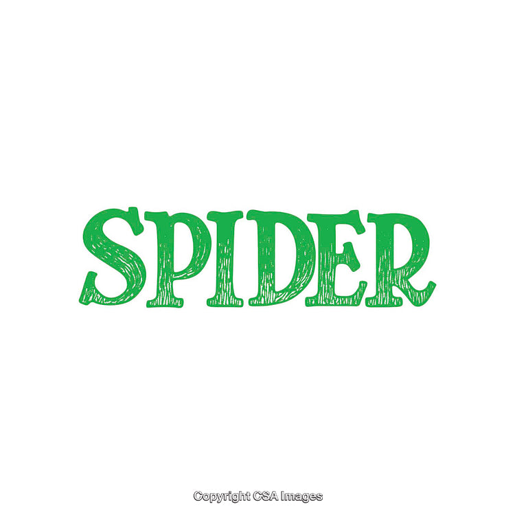 Green Stylized Spider Text on a white Background