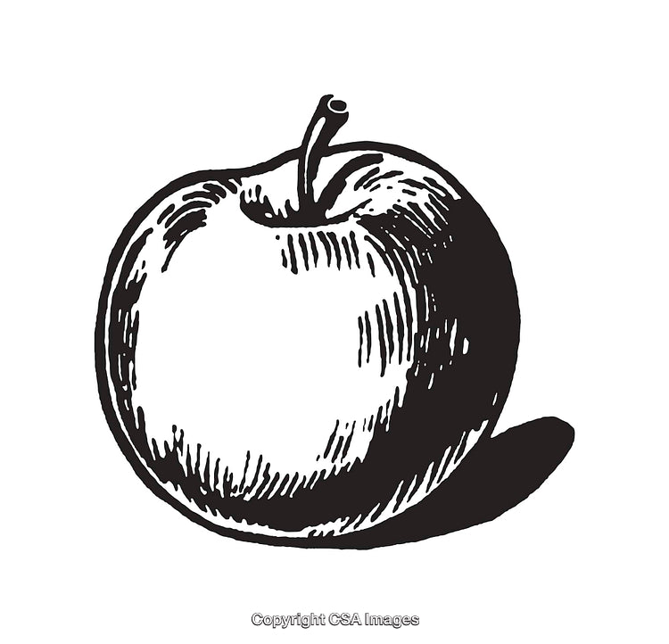 Black and White Line Art of an Apple with Shadow