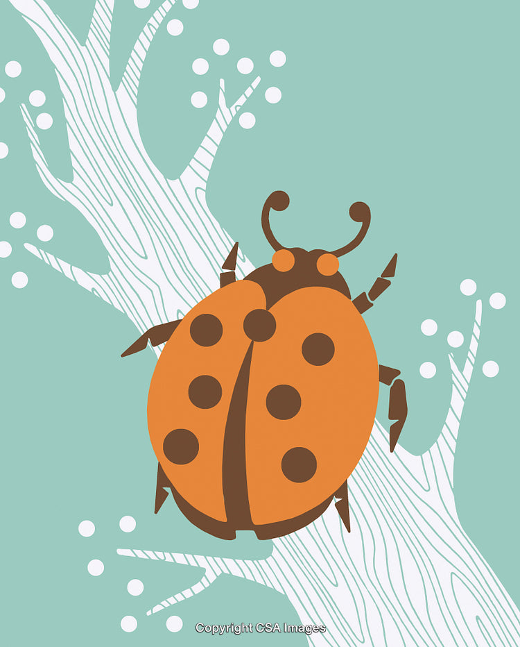 Detailed Illustration of Orange Ladybug on Tree Branch With Soft Background