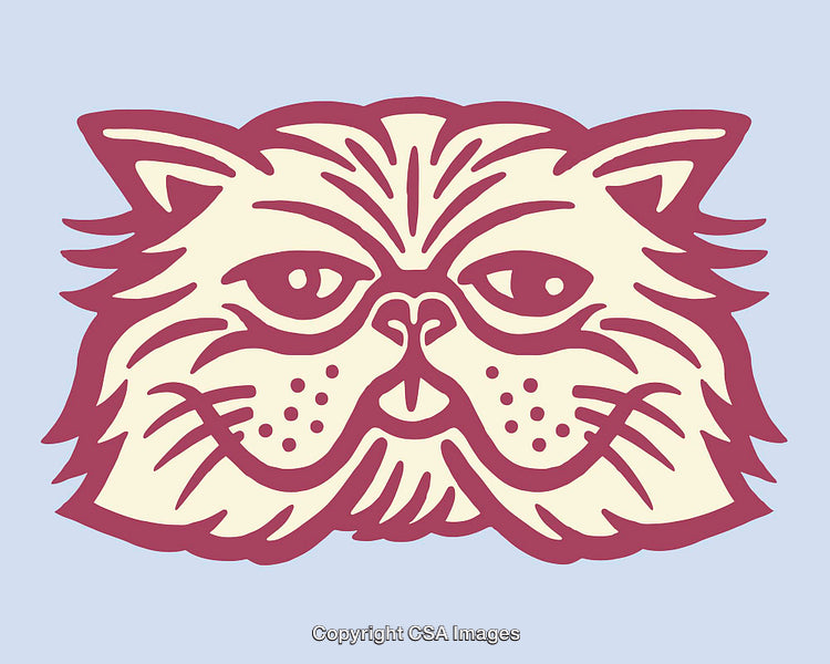 Stylized Flat Art Illustration of a Cat Face in Maroon And Cream