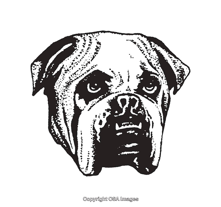 Detailed Black and White Illustrated Dog Artwork in Line Art Style
