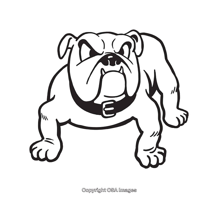 Fierce Bulldog Illustration in Black and White Line Art Style