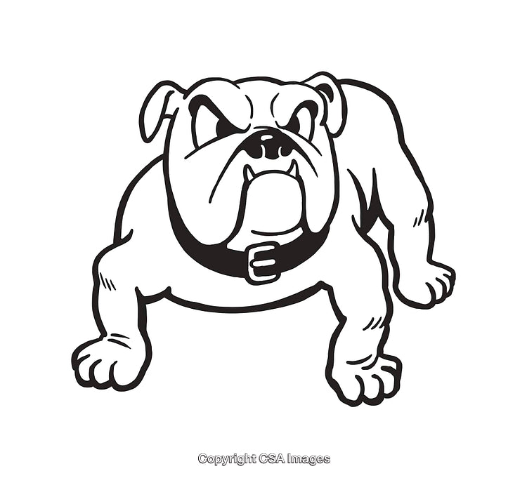 Fierce Bulldog Illustration in Black and White Line Art Style