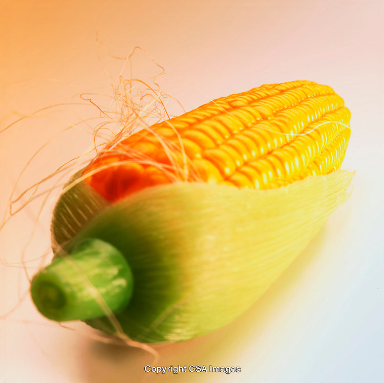 Close-Up of a Yellow Corn Toy with Green Husks in Bright Lighting