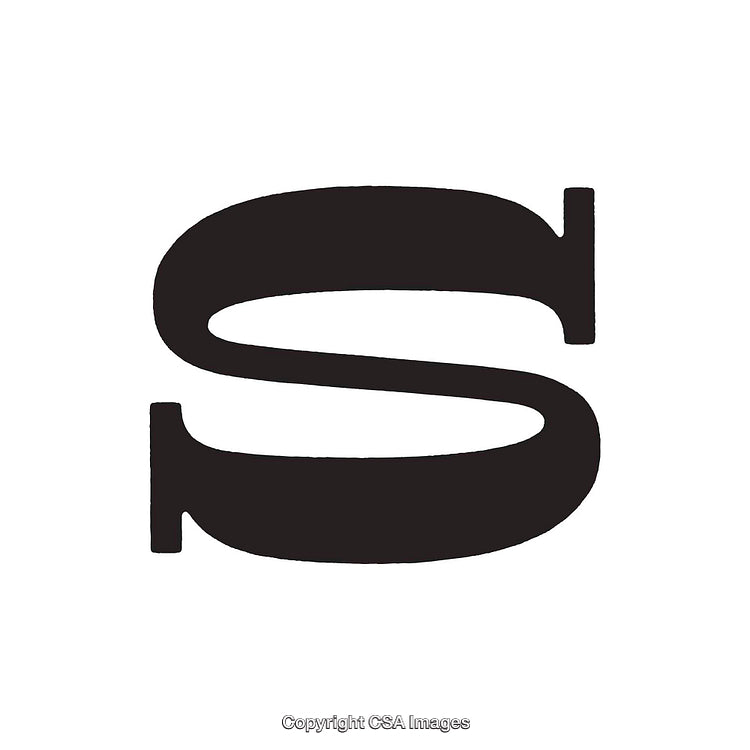 Bold Black Stylized Letter S on a White Background
