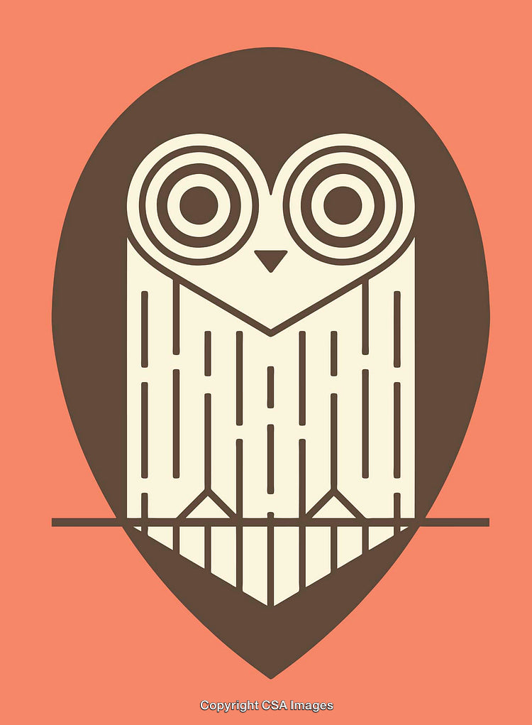 Geometric Owl Digital Art with Bold Lines and Earth Tones