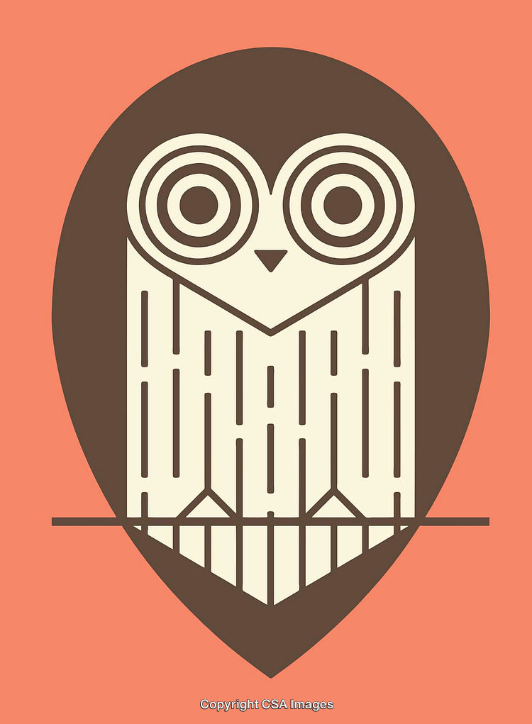 Geometric Owl Digital Art with Bold Lines and Earth Tones