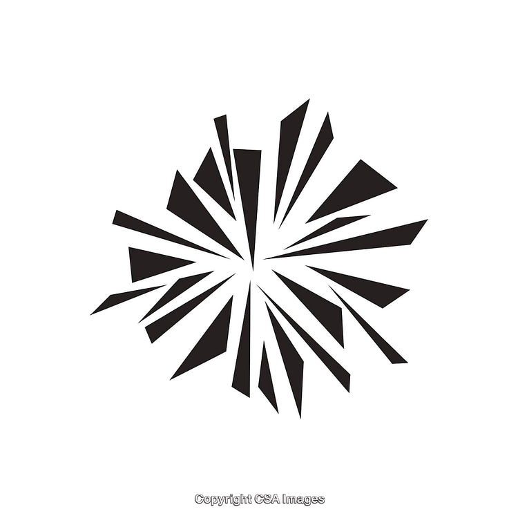 Abstract Black and White Geometric Explosion Design Icon