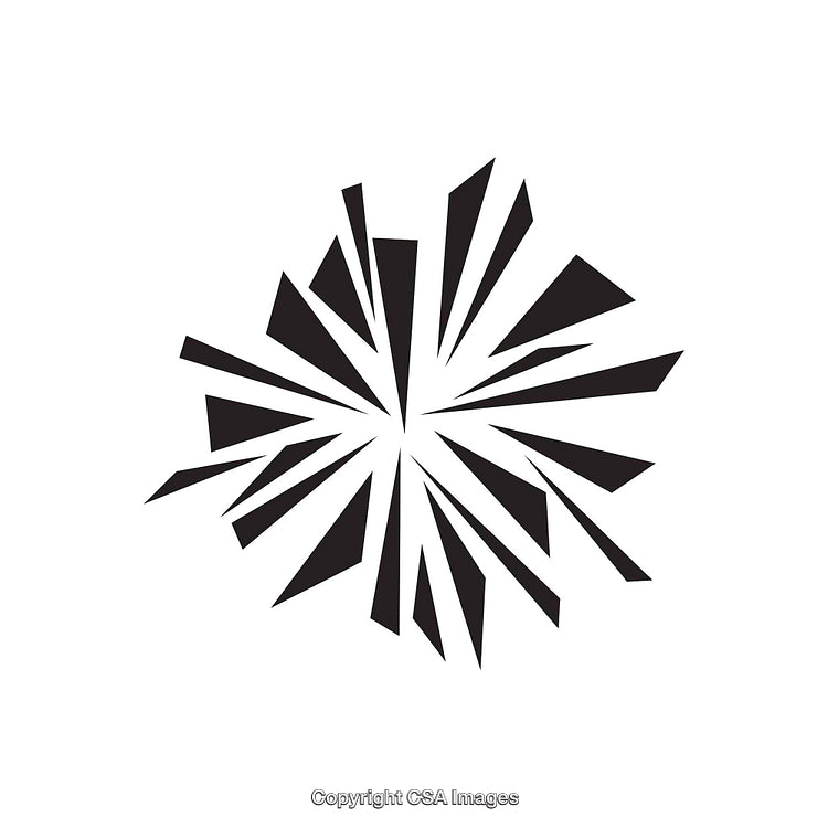 Abstract Black and White Geometric Explosion Design Icon