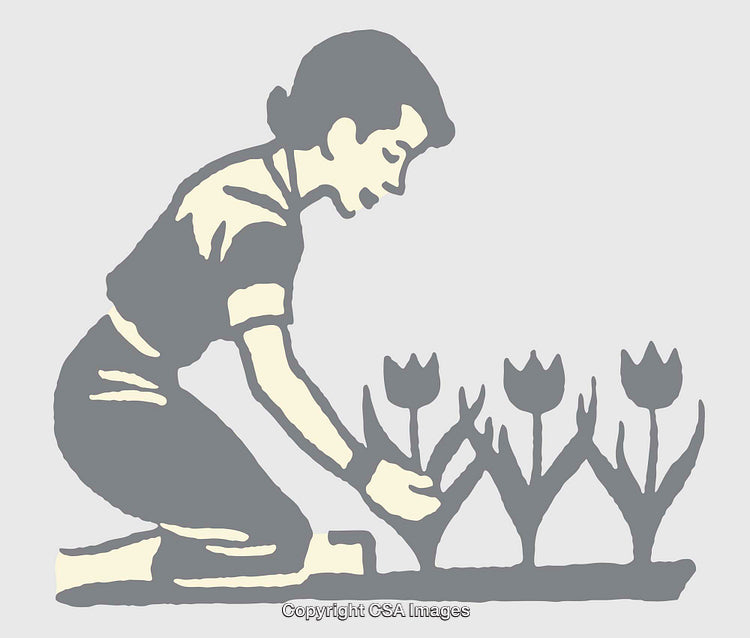 Illustration of a Person Gardening with Tulips in a Flower Bed