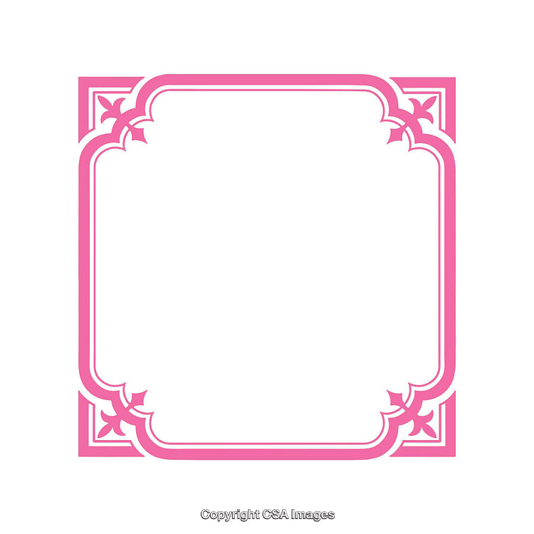 Elegant Pink Decorative Border Design With Floral Accents on a White Background