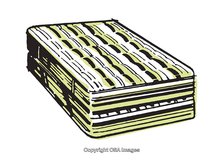 Hand-Drawn Illustration of a Detailed Accordion Design