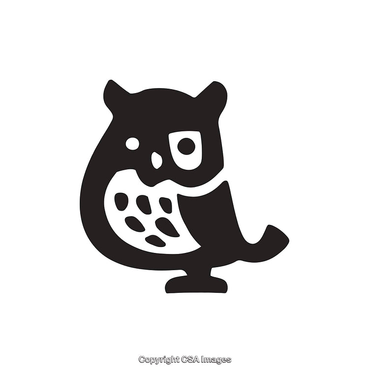 Stylized Black And White Owl Illustration for Design and Decoration Purposes