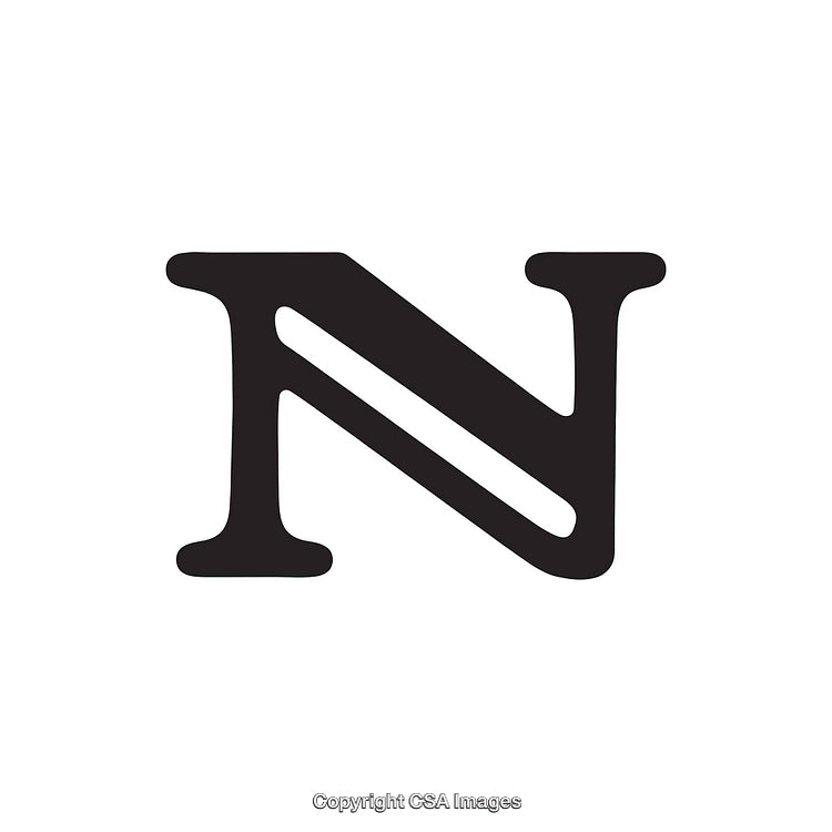 Bold Letter N in Serif Typeface on White Background