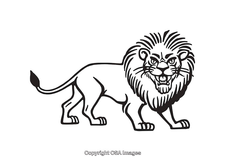 Black and White Line Art Illustration of a Majestic Lion Roaring