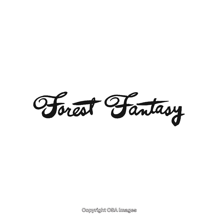 Elegant Script Title Forest Fantasy with Handwritten Black Font