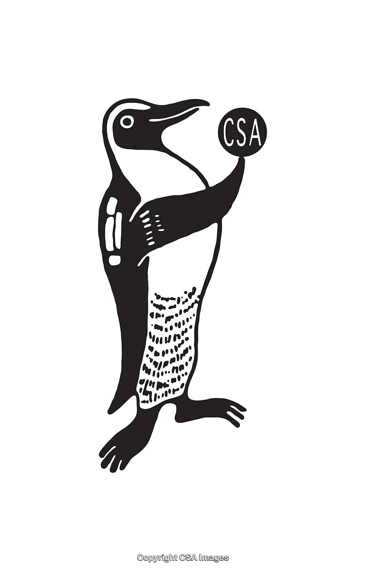 Hand-Drawn Penguin Illustration Featuring Monochrome Art Design