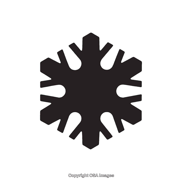 Black Silhouette of a Snowflake Dingbat on a White Background