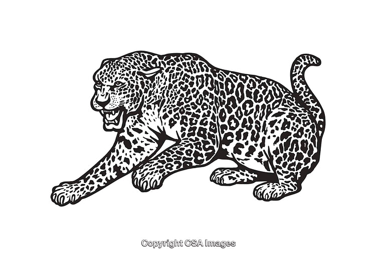 Black and White Line Art Illustration of a Fierce Leopard