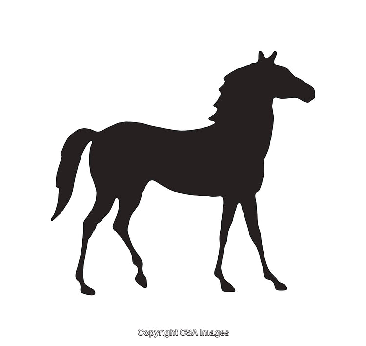 Silhouette of a Horse Standing on a White Background