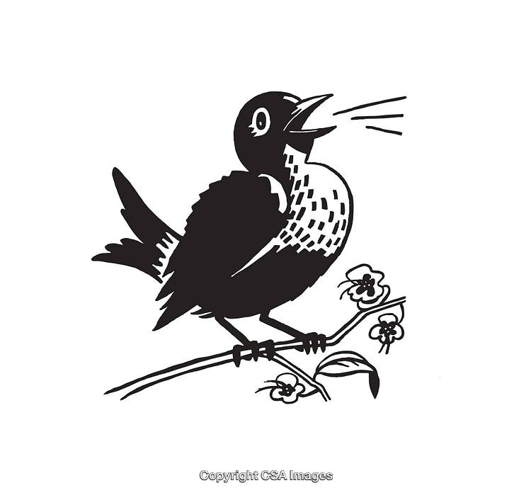 Black and White Illustration of a Singing Bird on a Flowering Branch