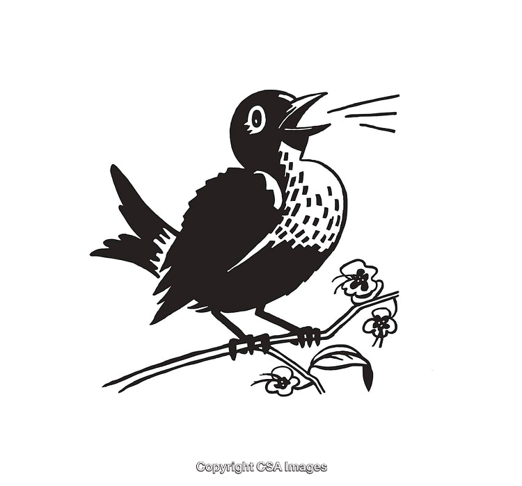 Black and White Illustration of a Singing Bird on a Flowering Branch