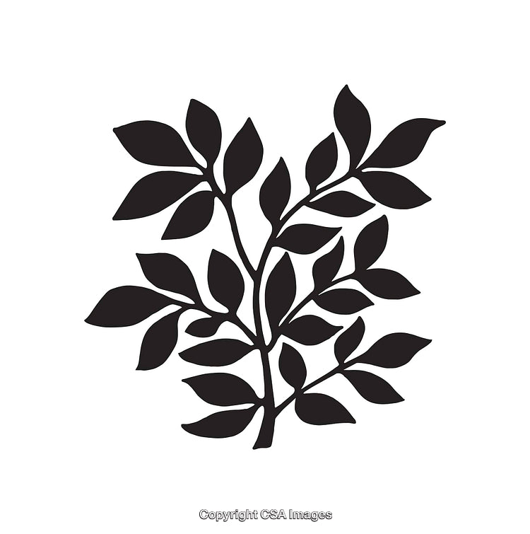 Black and White Illustration of Leaves and Branches in Line Art Style