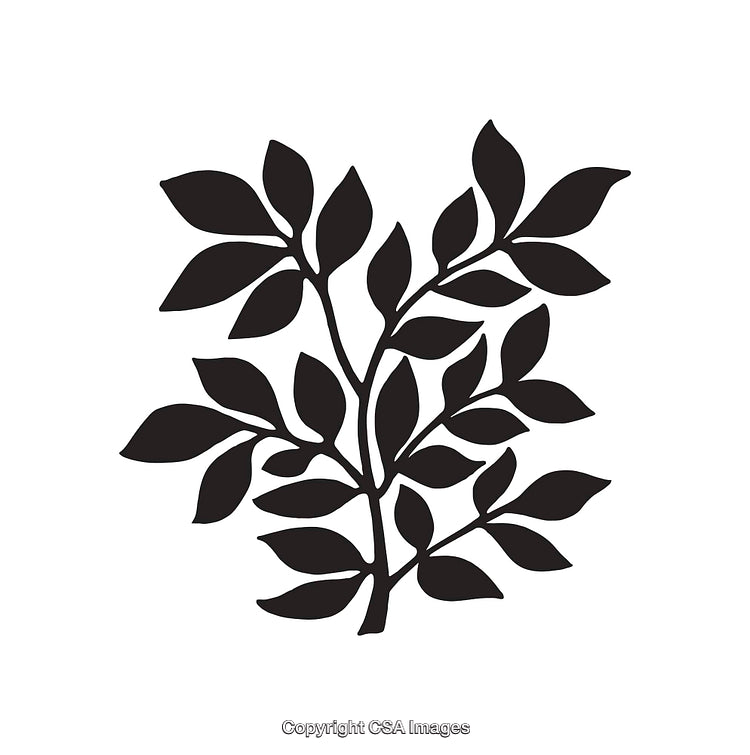 Black and White Illustration of Leaves and Branches in Line Art Style
