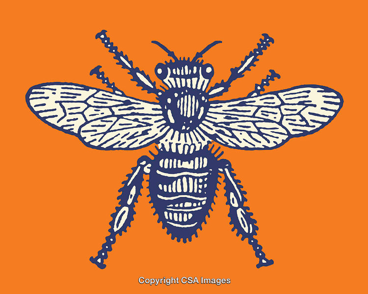 Detailed Line Art Illustration of a Bee on an Orange Background