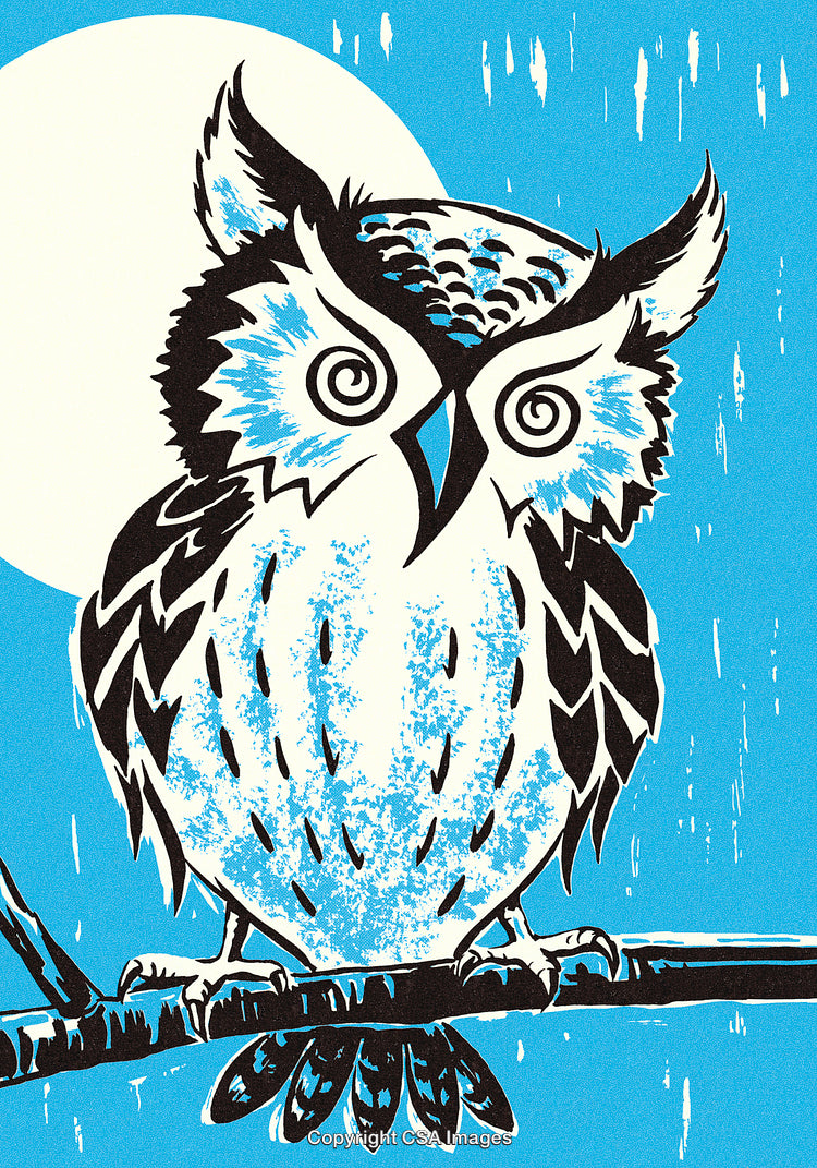 Surreal Owl Illustration with Blue Background and Circular Moon Motif
