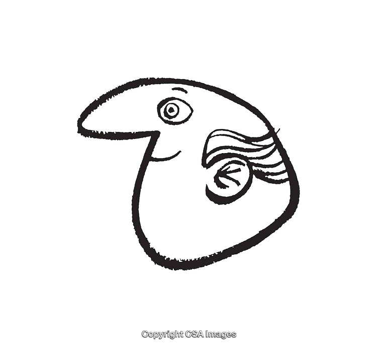 Whimsical Black And White Line Art Illustration Of A Surreal Face