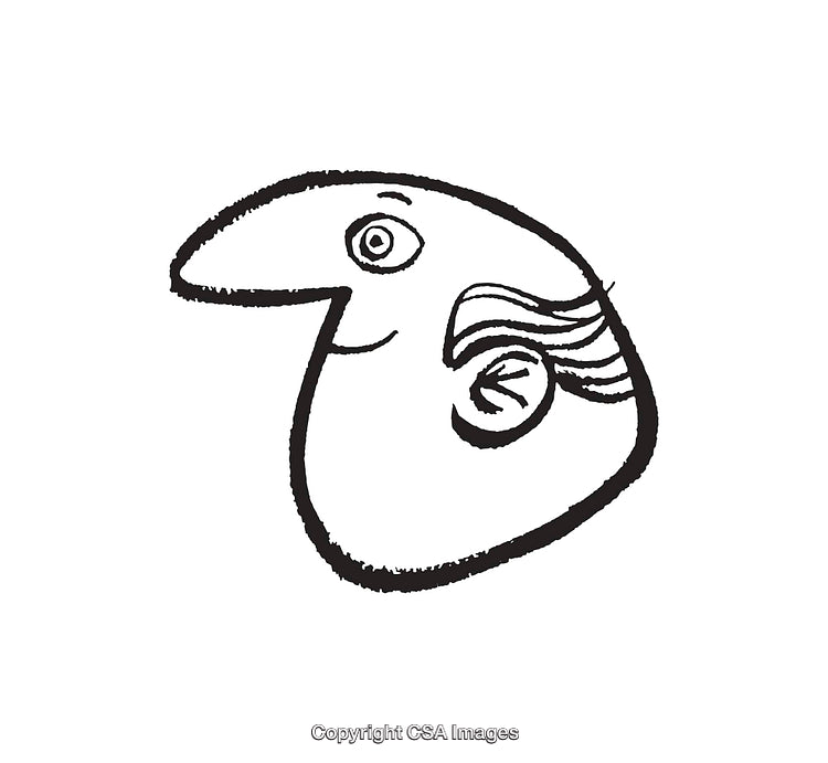 Whimsical Black And White Line Art Illustration Of A Surreal Face