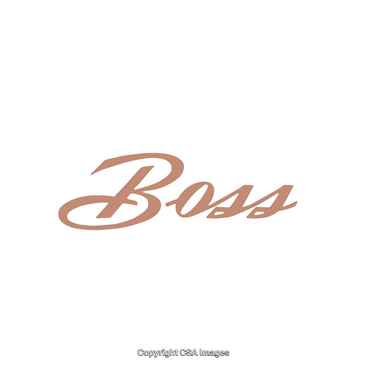 Simple Minimalist Word Design With a Stylish Script Font