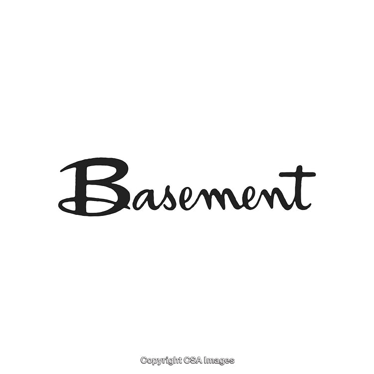 Stylish Handwritten Typography Featuring the Word 'Basement' in Black Ink