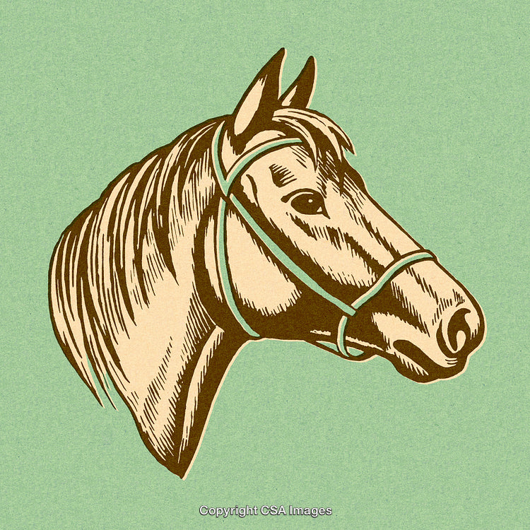 Vintage Illustration of a Horse Head on Colored Background