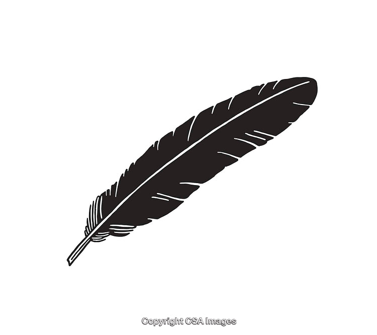 Black And White Feather Illustration Suitable for Design and Decoration Projects