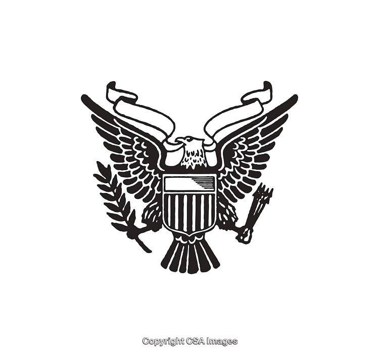 Majestic Bald Eagle Heraldic Symbol in Black and White Line Art