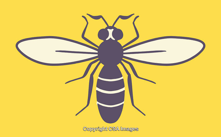 Illustration of a Simplistic Bee Silhouette in Yellow and Black